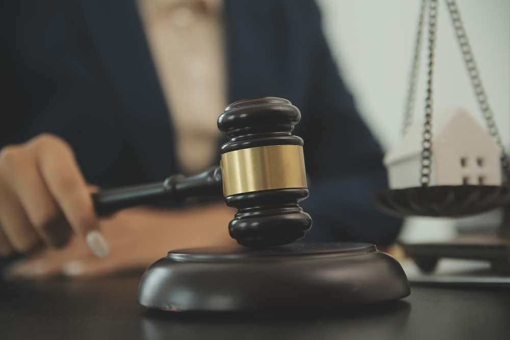 Гражданские споры. Какие задачи призван решать суд