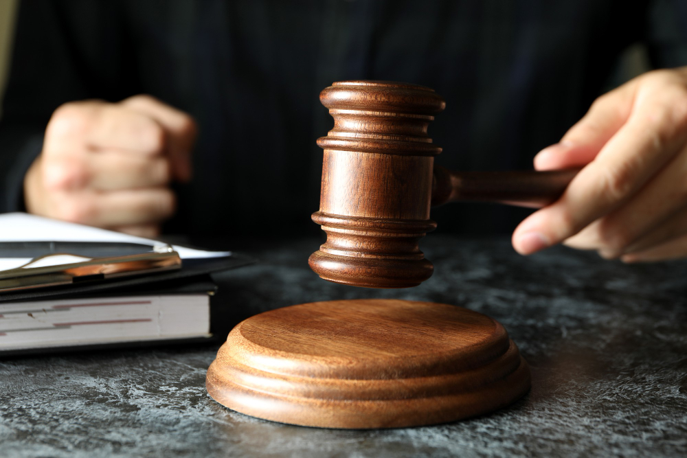 Гражданские споры. Какие задачи призван решать суд